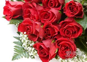 娱乐吃瓜酱带刺的玫瑰